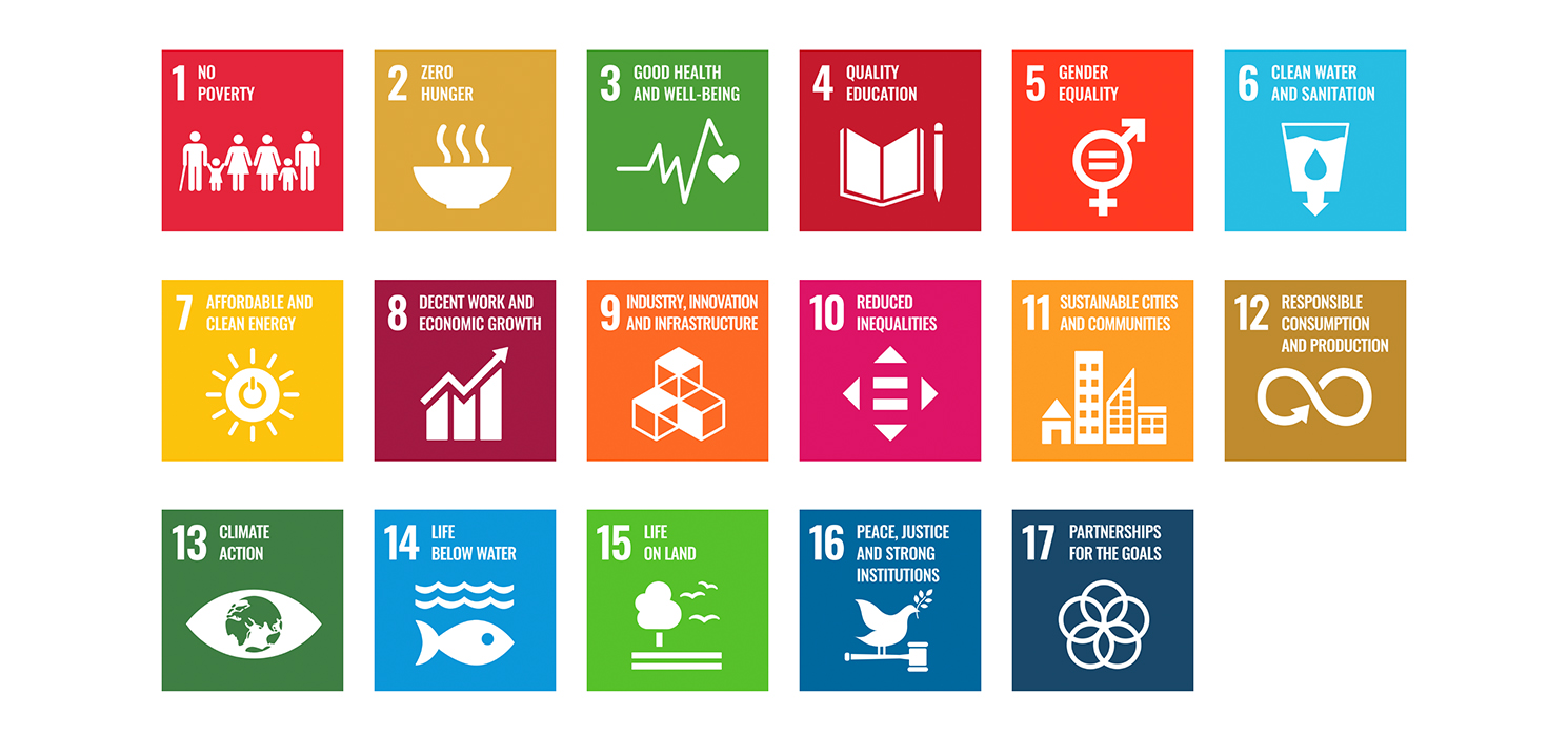 SALTO celebrates the 8th anniversary of the United Nations’ SDGs