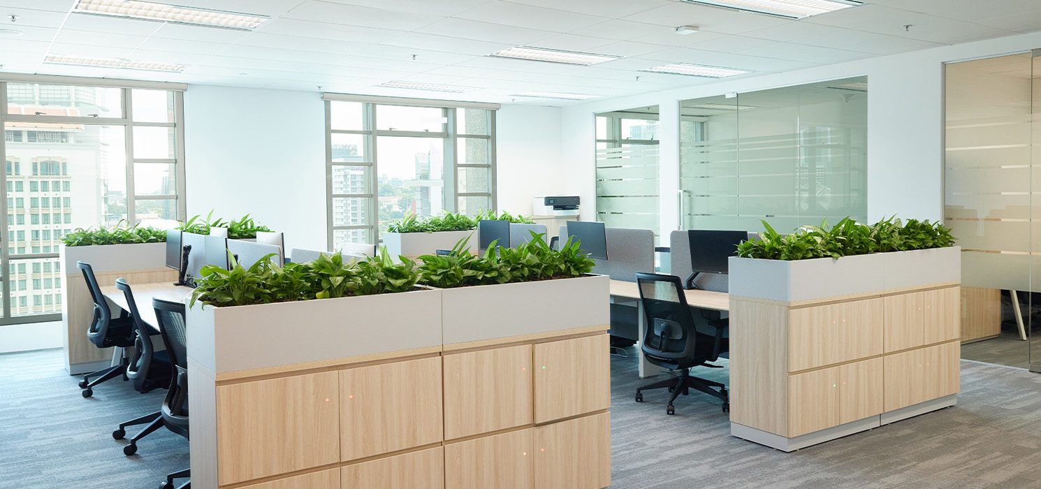 Salto office