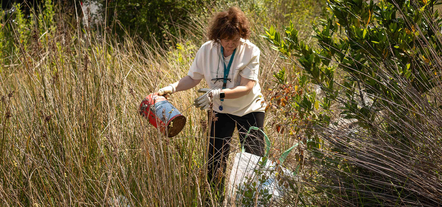 World Environment Day turns global gaze towards land restoration 