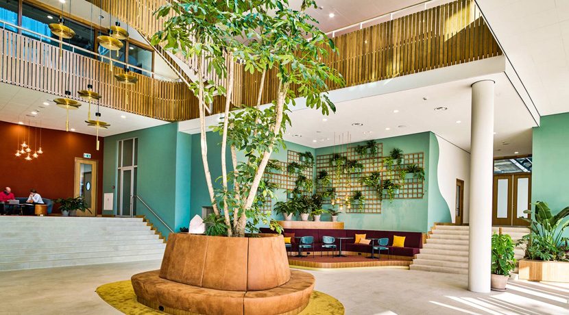 Sowebuild