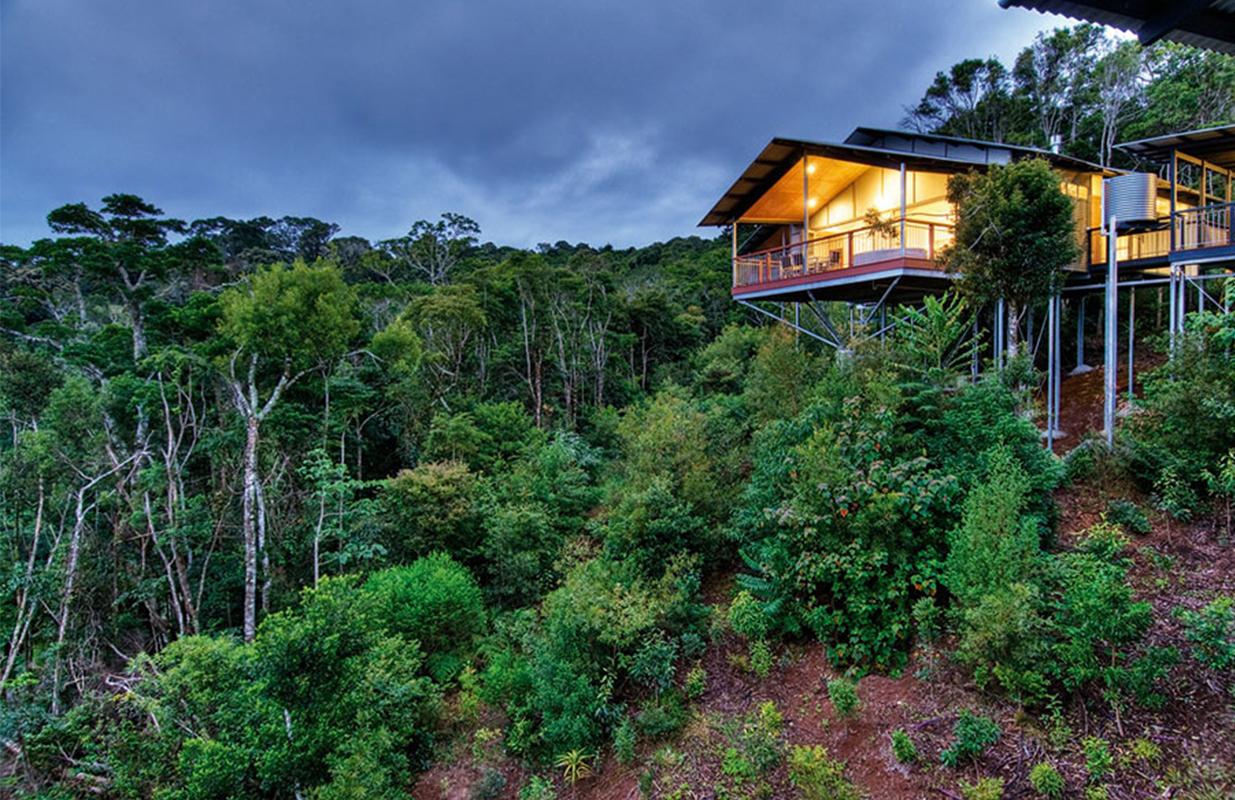 O Reilly S Rainforest Retreat Salto Systems O Reilly S Rainforest Retreat Salto Systems